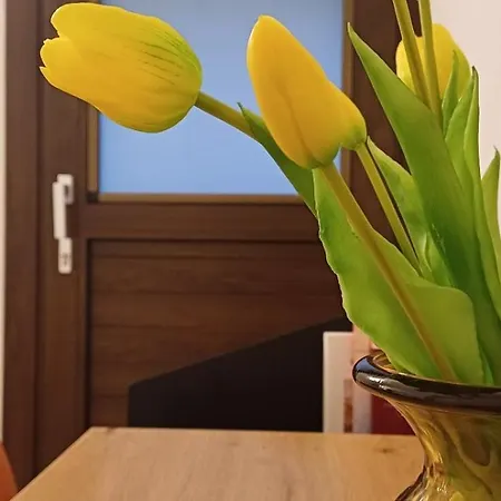 Au Valún - Cà Sutana *