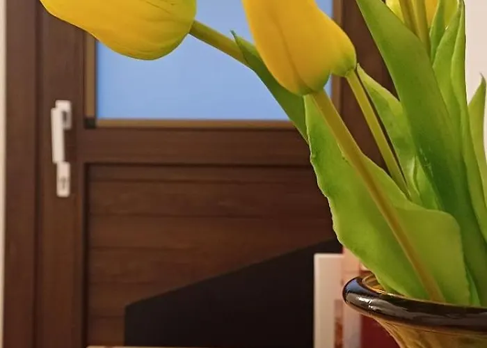 Au Valún - Cà Sutana *